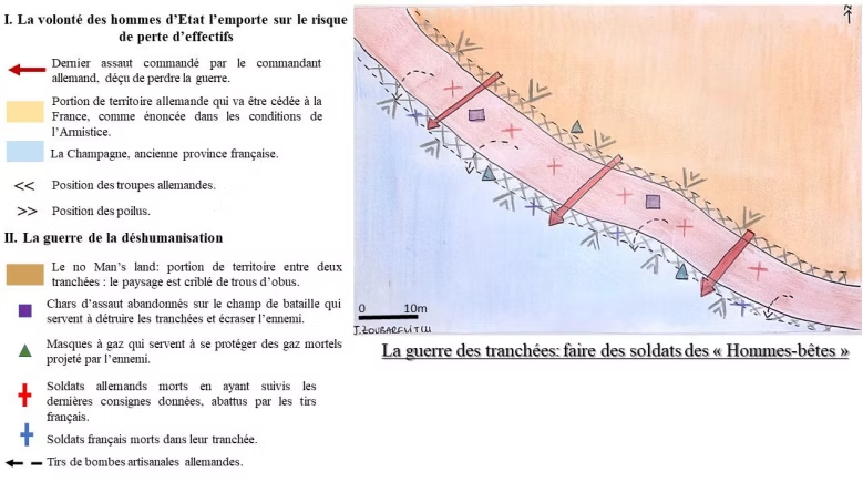 La guerre des tranchées : faire des soldats des « hommes-bêtes »